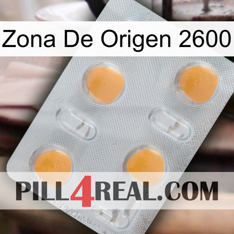 Home Zone 2600 24